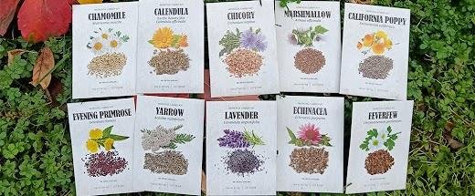 Medicinal herb seed packets included in the Medicinal Garden Kit with non-GMO seeds